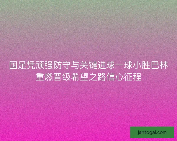 国足凭顽强防守与关键进球一球小胜巴林重燃晋级希望之路信心征程