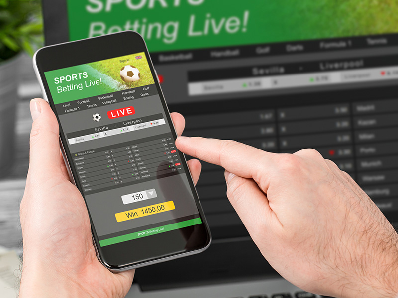 User Guide On Top Sports Betting Sites